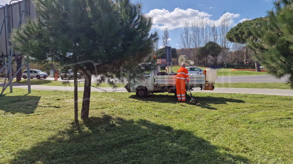 Riccione si prepara alla primavera: al via la manutenzione del verde - 