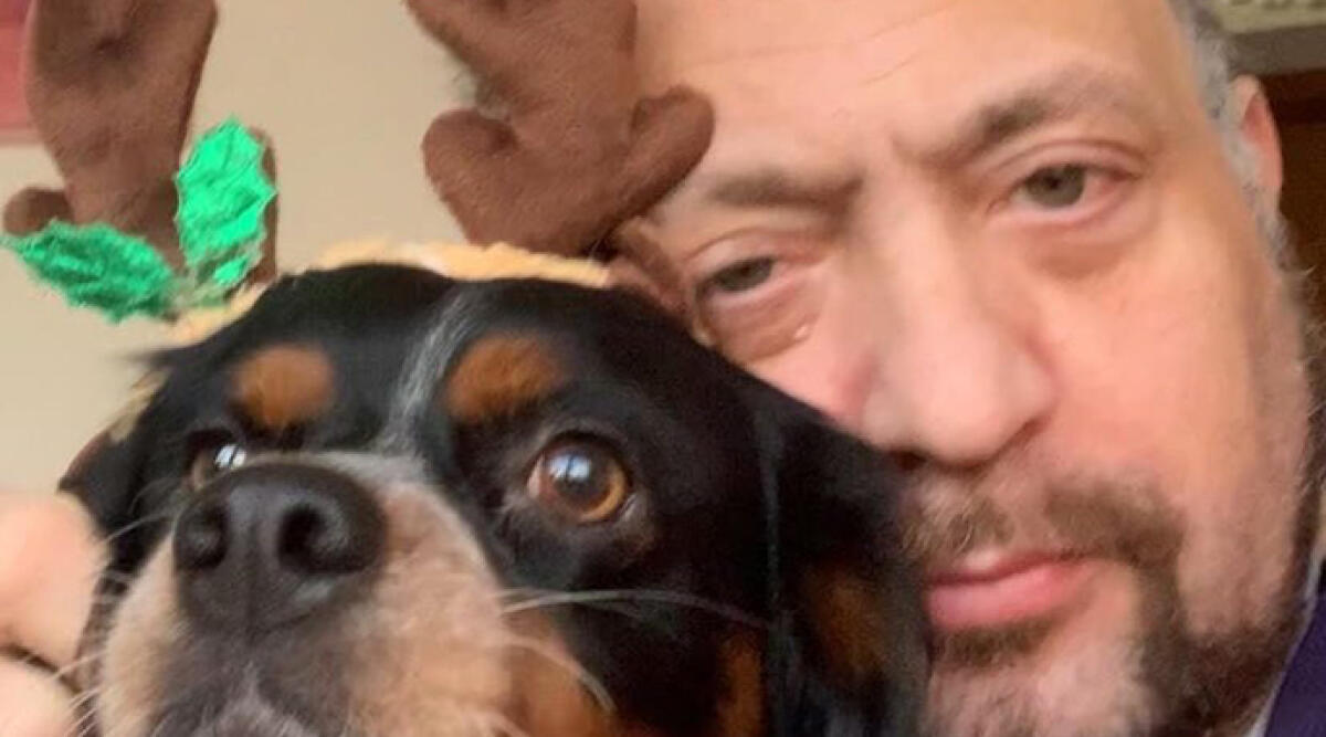 Dopo giorni di angoscia, la sorpresa: Lola torna a casa misteriosamente, pulita e profumata - Castellani e Lola