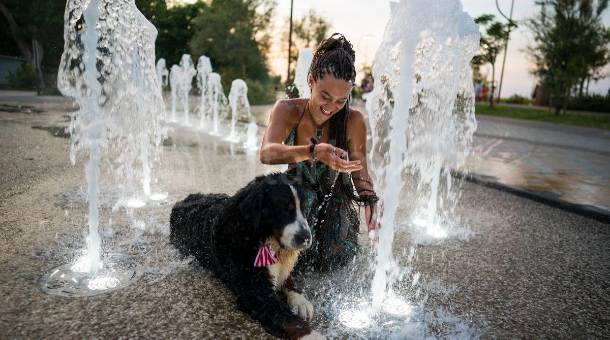 "I Love Pets Romagna": formazione gratuita per operatori turistici Pet Friendly - 