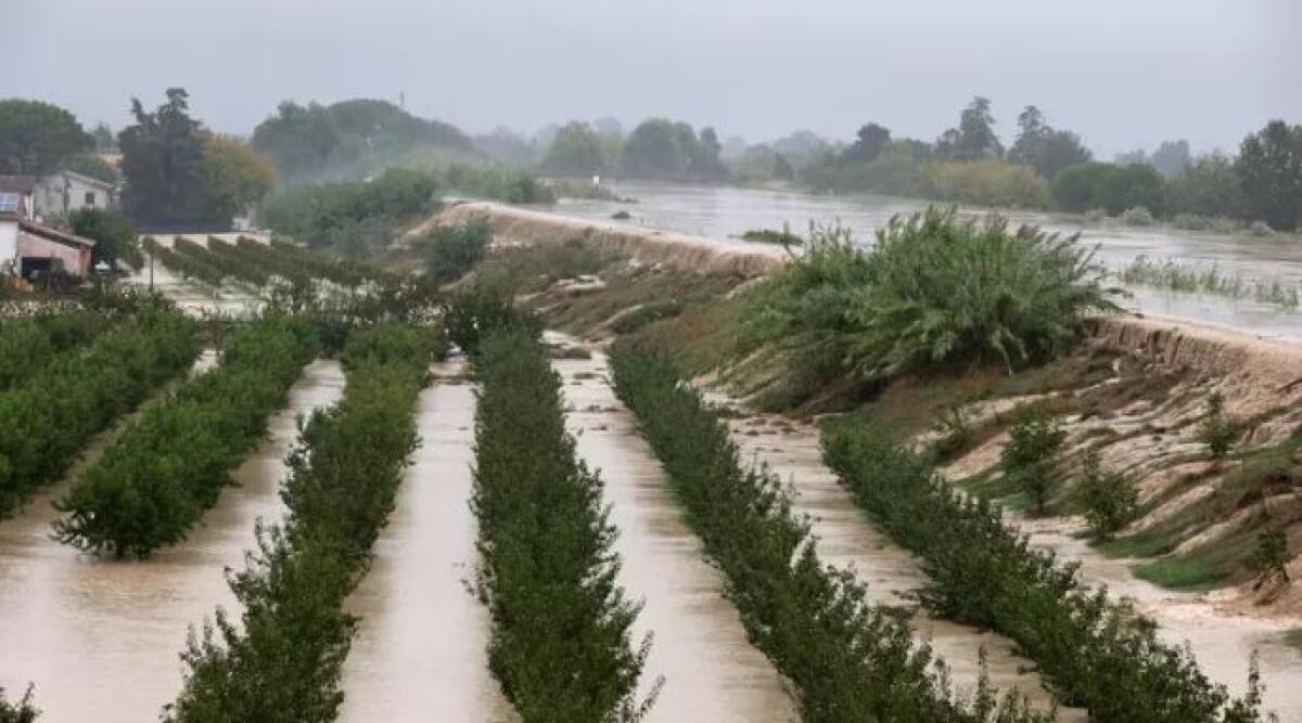 Rimini: post-alluvione, imprese in prima linea per la sicurezza - Ansa