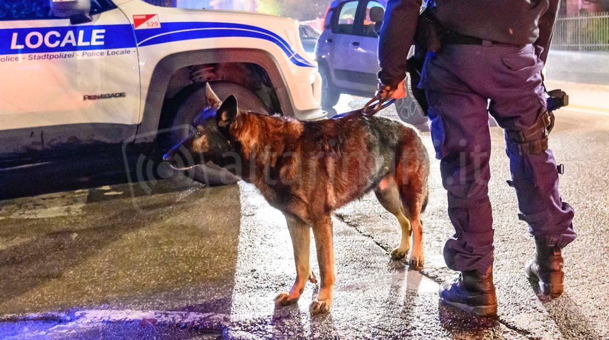 A spasso in zona stazione a Rimini con 104 grammi di hashish: nei guai 27enne - Bruce - Unità cinofila della Polizia Locale