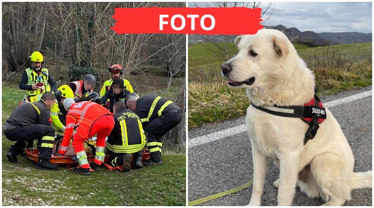 San Leo, il cane Bianco è un eroe: trascina la padrona e trova uomo gravemente ferito - A destra l'eroe di giornata: il cane Bianco