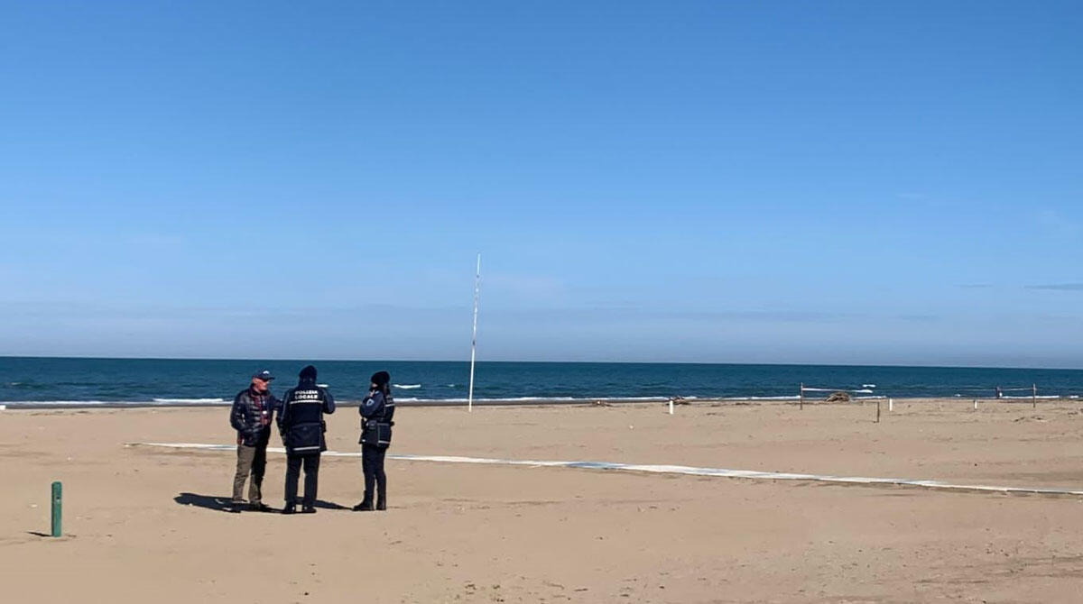 Rimini protegge i fratini sulla spiaggia di Miramare: vietato avvicinarsi ai nidi, serrati controlli - 