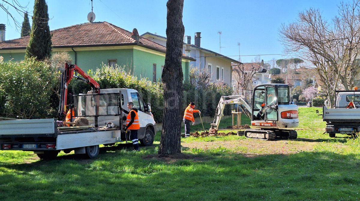 Riccione punta sul verde: al via la riforestazione urbana con 166 nuovi alberi -