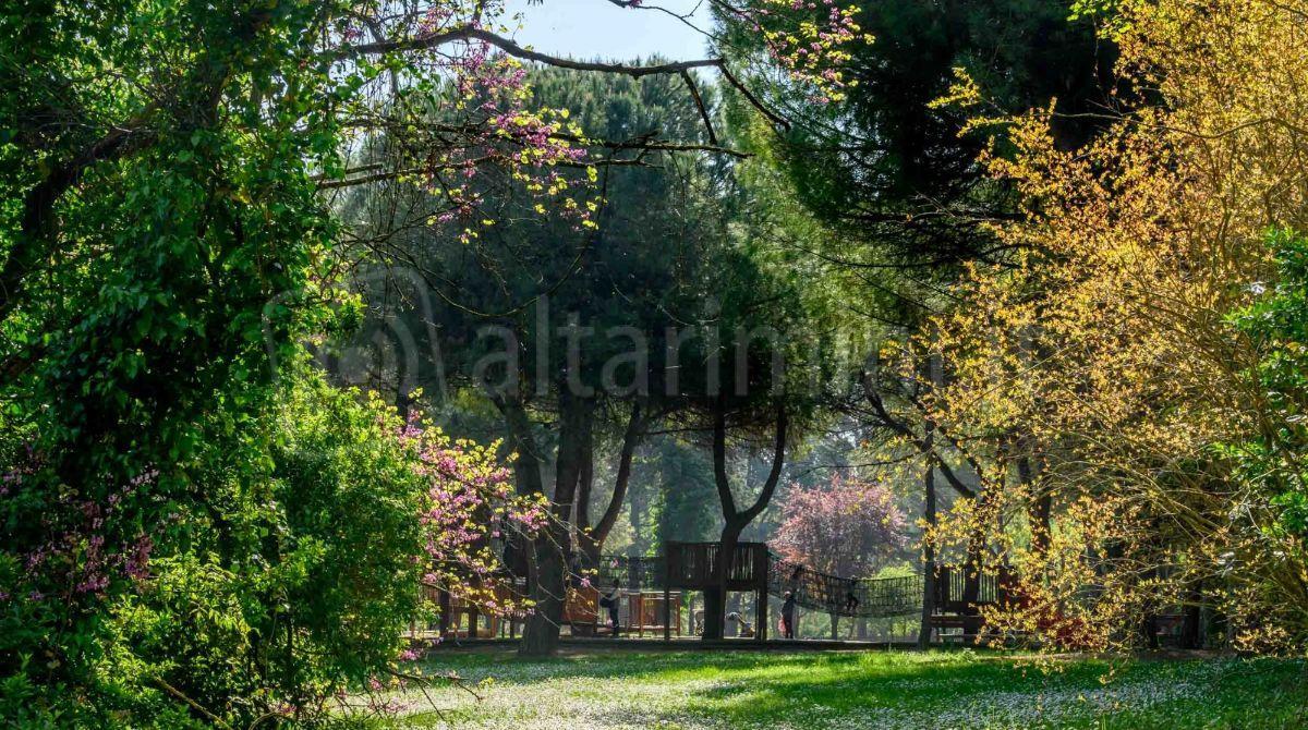Riccione Città Green: protezione degli alberi e gestione sostenibile del verde urbano - Parco della Resistenza