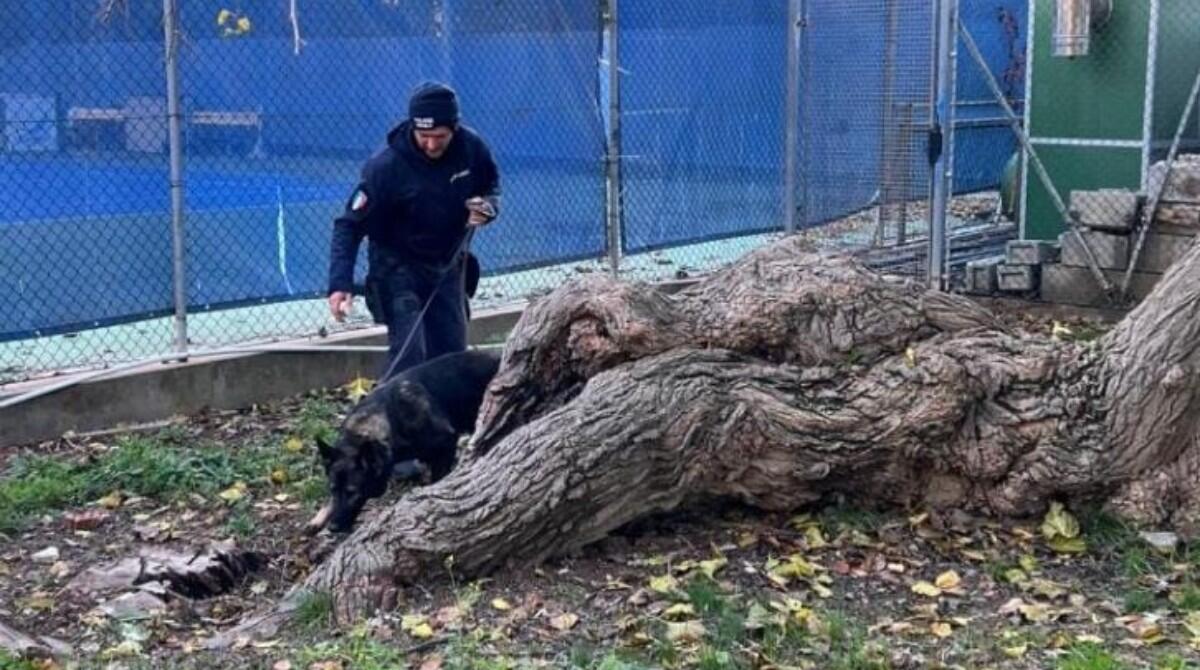 Rimini: controlli nelle aree verdi, scoperte attività di spaccio e occupazione abusiva - Servizio Polizia Locale, controllo dei parchi