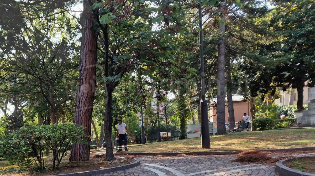 Spazi verdi e inclusione sociale: il Comune lancia i nuovi Patti di collaborazione -