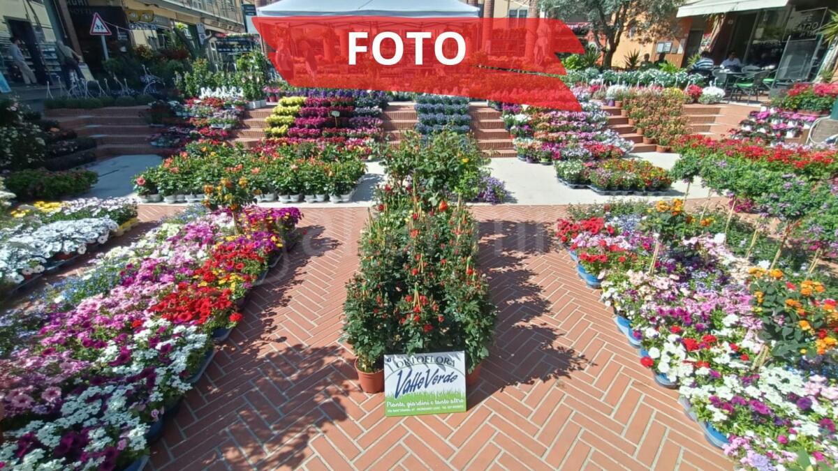 Cattolica in Fiore, al via l'evento: c'è anche il presidente della Provincia. Le foto di Ballante - PH AMATO BALLANTE