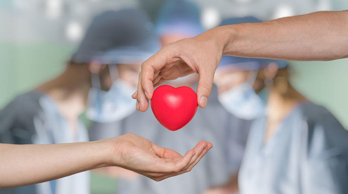 Riccione, nel 2025 già 357 sì alla donazione di organi -