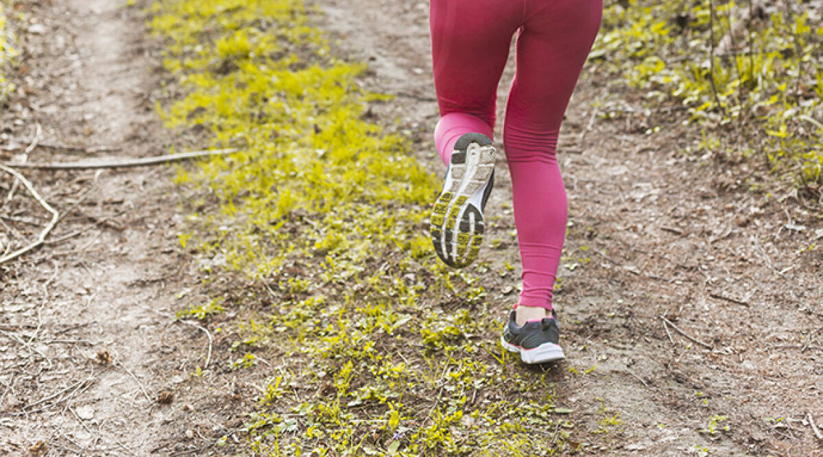 Violenza choc nel Modenese: 17enne stupra una 65enne mentre fa jogging, arrestato - Foto di repertorio
