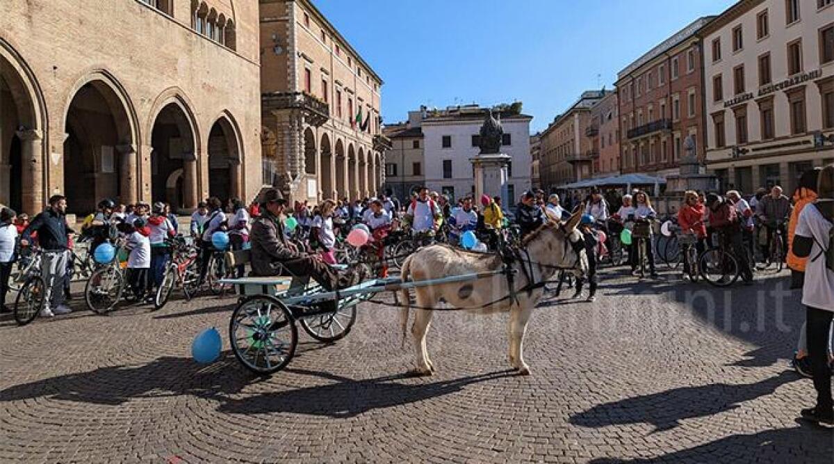 Torna il Somar Lungo: la tradizionale gita di Pasquetta a Covignano con la Ligaza - Somarlungo 2023