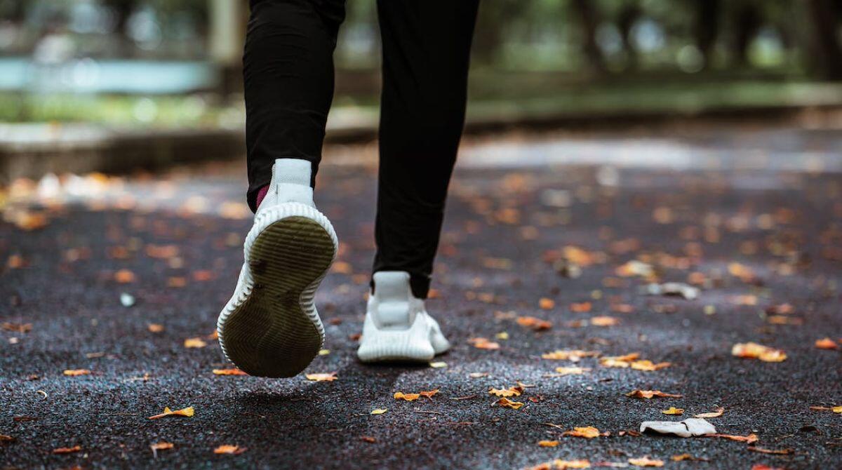 Quasi 4 adulti su 10 non sono attivi, bambini sempre più sedentari: l'Ausl Romagna lancia l'allarme -