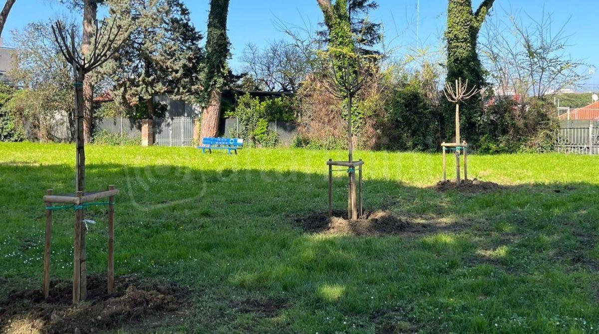 Riccione, perla sempre più.. verde con la messa a dimora di 166 nuovi alberi - Giardino Dalla Chiesa