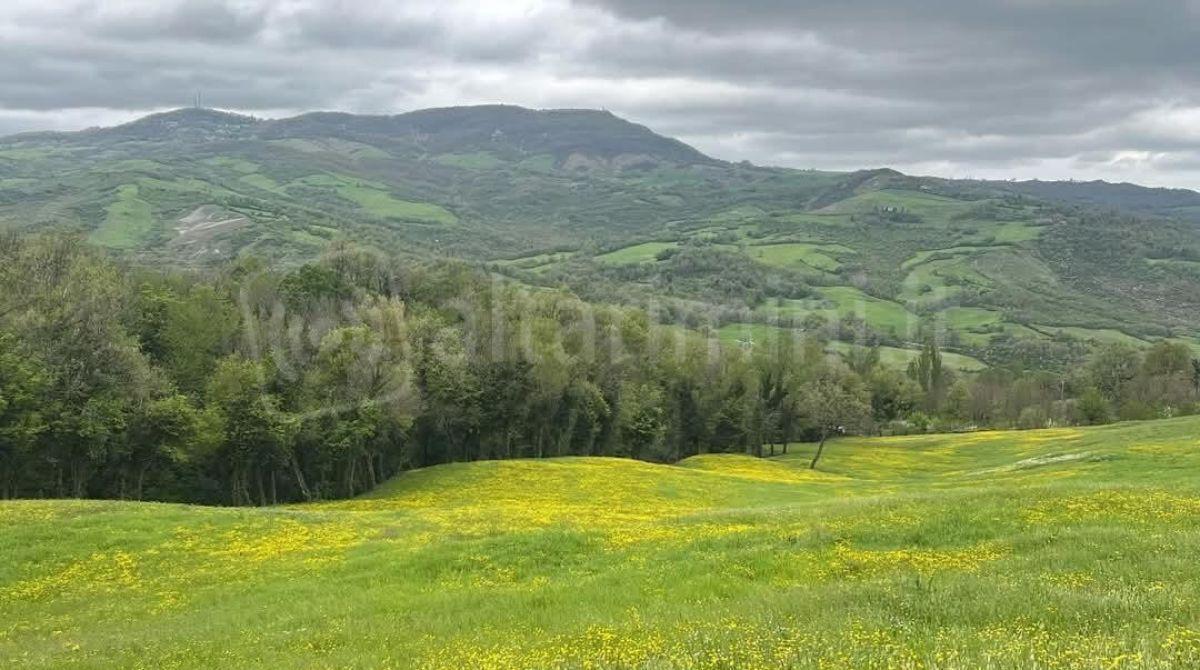Alta Valmarecchia: la Valle del biologico con 5.776 ettari di terreno agricolo dedicato -