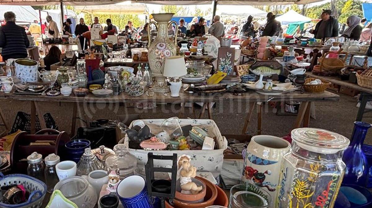 Campo Lavoro Missionario 2025: raccolti in provincia oltre 170mila euro - 