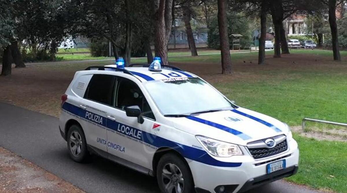 Rimini, scoppia lite al Parco Cervi: una denuncia per lesioni, percosse e furto - REPERTORIO