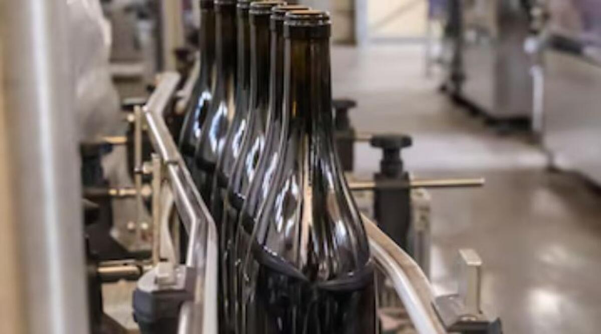 Rimini alla ricerca di nuovi mercati: export dazi e strategie oltre gli Usa - Rimini guarda oltre gli Usa: diversificazione dei mercati per l’export