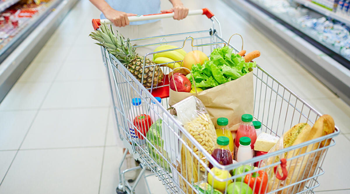 Alimentazione sana e prevenzione: torna “Il Carrello della Salute” a San Giovanni in Marignano -