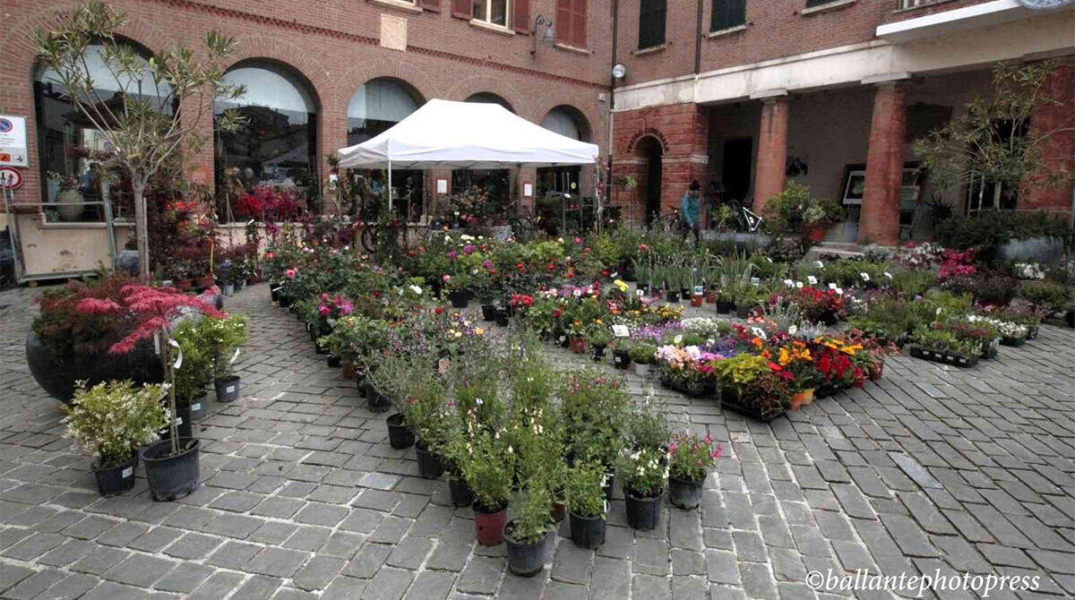 SalusErbe: Saludecio celebra natura, benessere e cultura dal 25 al 27 Aprile - PH AMATO BALLANTE