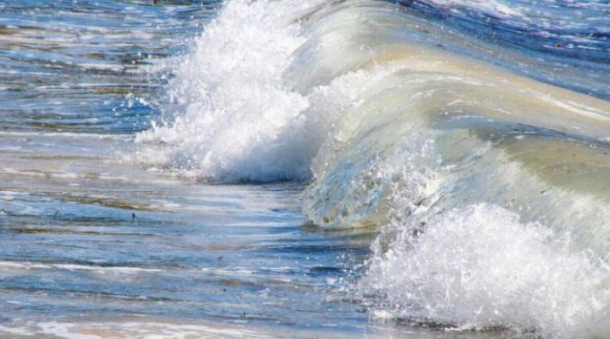 San Mauro Mare: misterioso cadavere in mare, si indaga a 360 gradi -