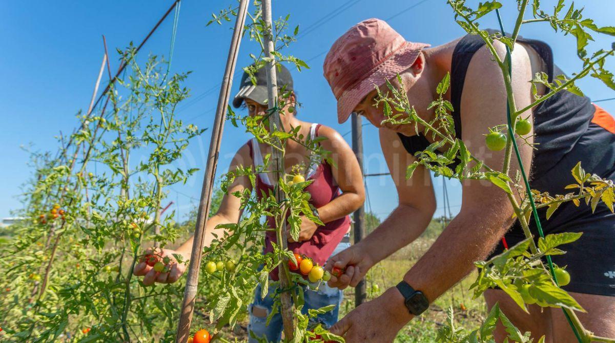 Rimini, torna “Milleorti per il Turismo”: inclusione, lavoro e solidarietà grazie a 30 hotel -