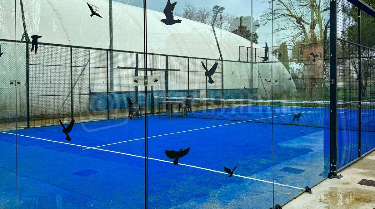 Rimini, vetri trasparenti pericolosi per i volatili: obbligo di adesivi sagomati nei campi da padel - 