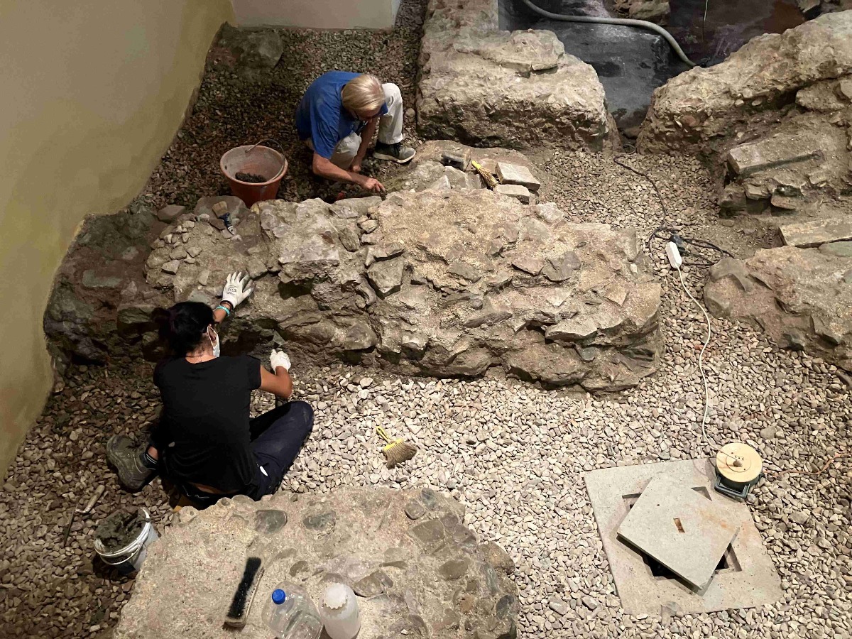 Festa della Repubblica: riapre al pubblico l’area archeologica di Palazzo Massani a Rimini - Domus