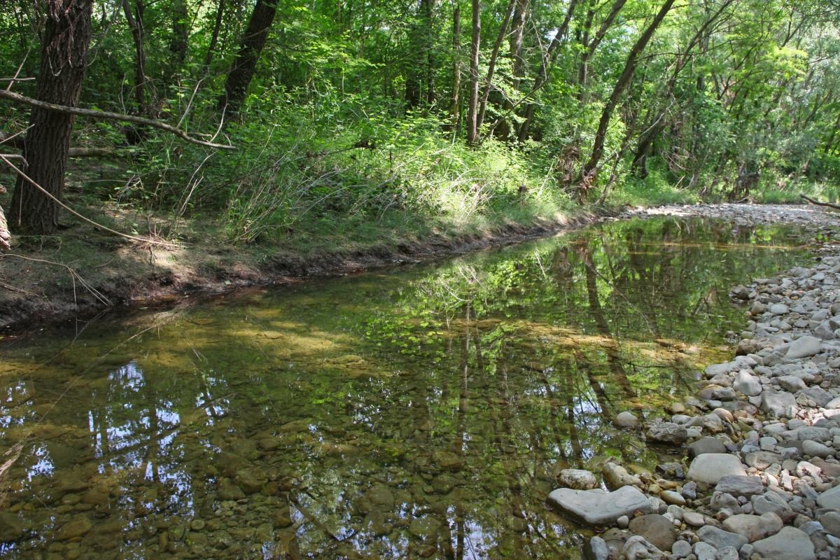 Coriano, messa in sicurezza del torrente Marano: al via il bando di gara - PH Paritani
