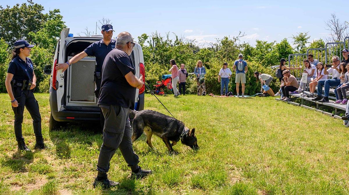 Un weekend di natura, musica e animali al Castello degli Agolanti con “Riccione Scuola” - Il cane Ziko al progetto Riccione Scuola Beni naturali, ambientali e culturali
