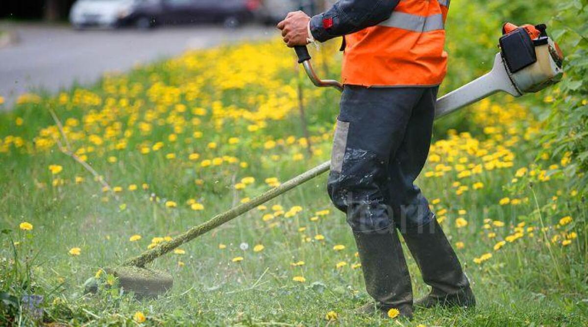 Nuovi giochi, più alberi e arredi urbani: Rimini investe nel verde oltre 300.000 euro - Immagine di repertorio