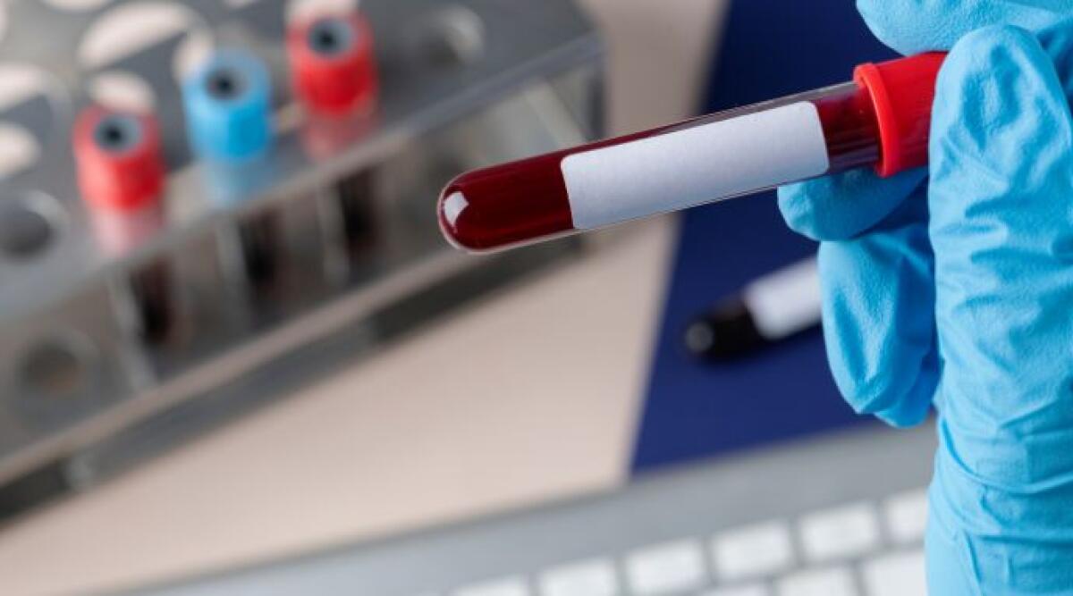 Tumori del sangue, Bologna guida l’innovazione con la terapia Car-T - Repertorio