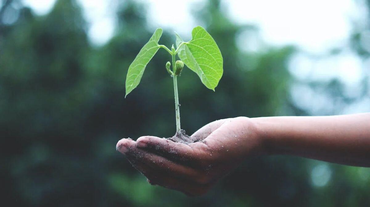 Be Kind Cattolica: torna Mare & Musica con clean-up, laboratori e spettacoli - Foto di repertorio