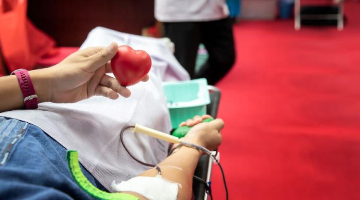 Donazione di midollo: record in Emilia-Romagna con oltre 102mila iscritti - Donazione di midollo