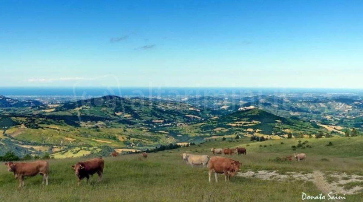Agricoltura a Montecopiolo: nuovi fondi e più sostegno agli imprenditori locali - Ph Donato Saini