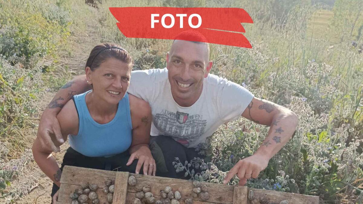 Era cameriere, oggi alleva lumache con la compagna: a Poggio Torriana la speciale azienda agricola - Francesca Betti e Nicola Borghetti