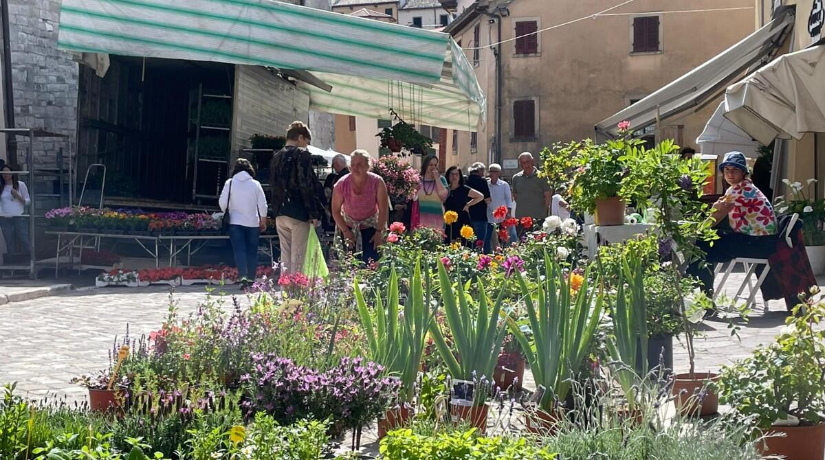 Pennabilli si colora di verde: torna la Fiera del Mercato Verde 2025 - Fiera del Mercato Verde, Pennabilli