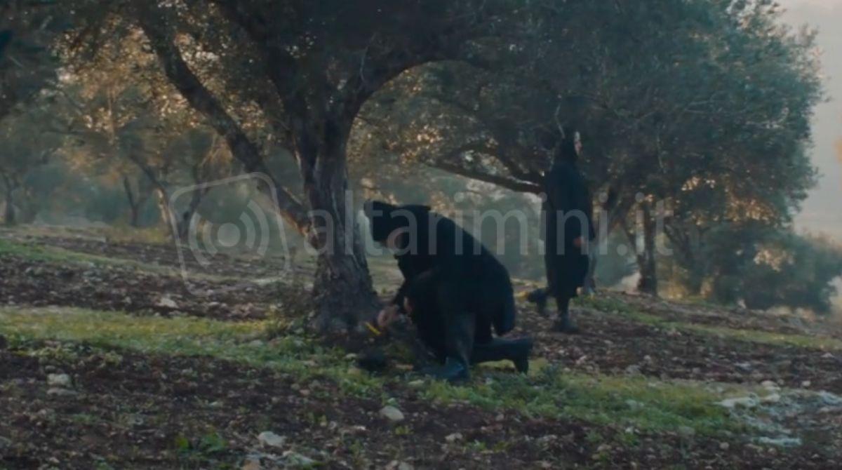 Cinema Tiberio: Palestina Mon Amour inaugura con "Upshot" di Maha Haj -