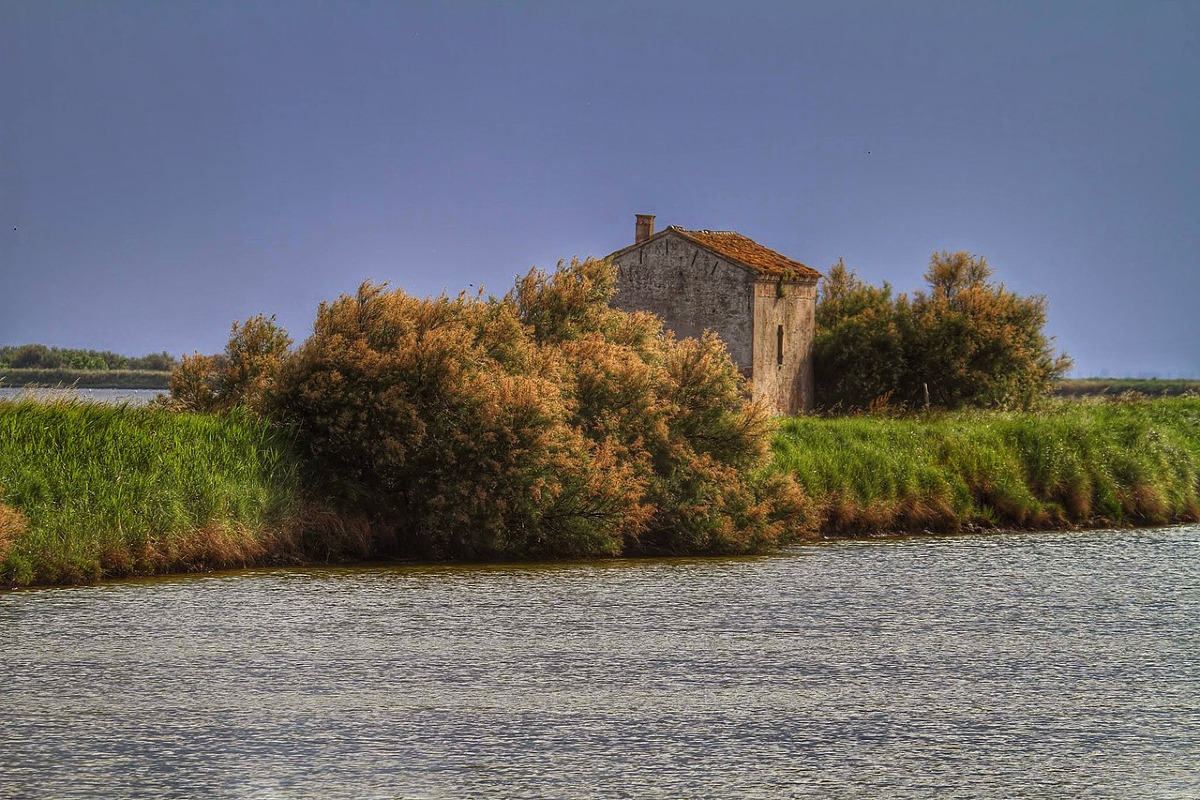 In Emilia Romagna c'è un angolo di natura incredibile | Pochi lo conoscono e nasconde delle specie introvabili - Foto: Carlo Pelagalli/Wikipedia