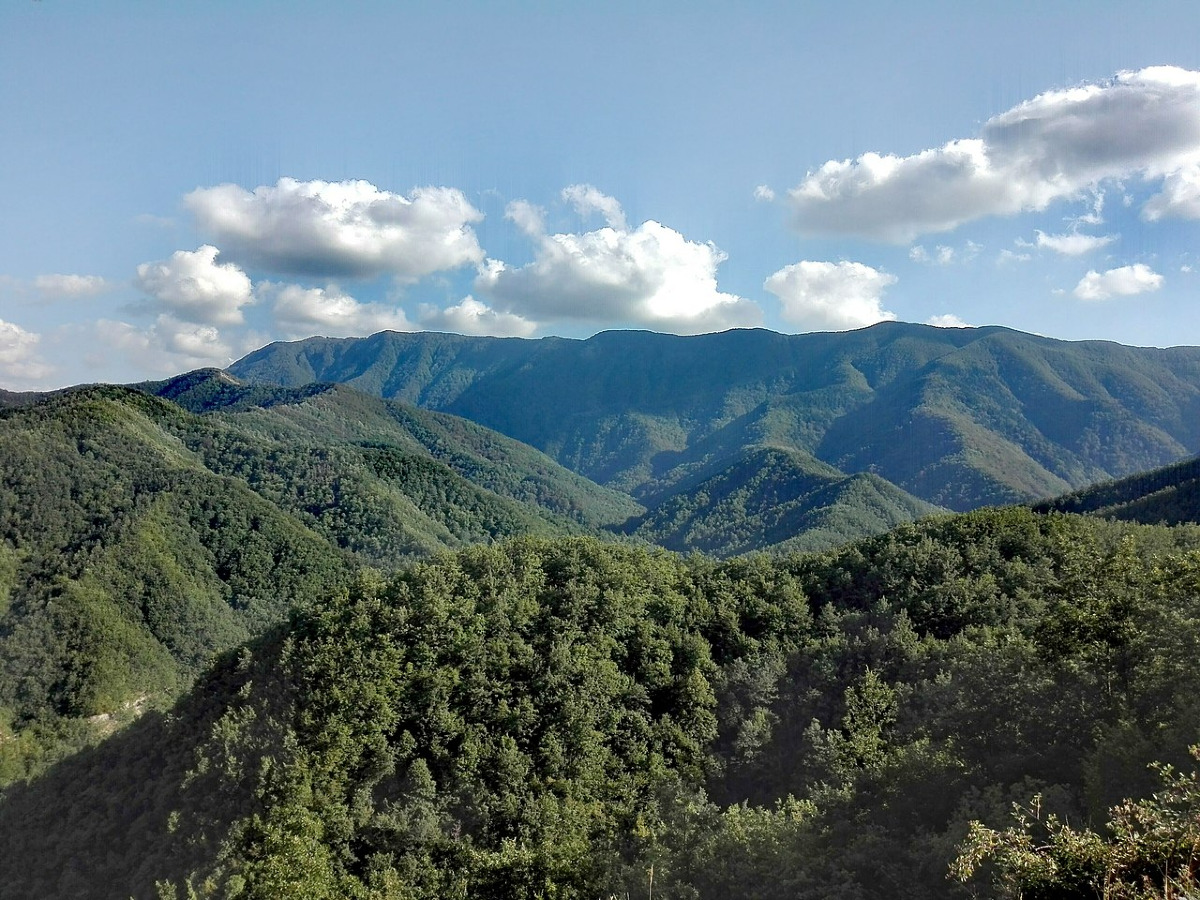 C'è un angolo di verde in Romagna poco conosciuto | Il Parco Nazionale delle Foreste Casentinesi e tutte le curiosità - Foto: Nicola Andrucci/Wikipedia