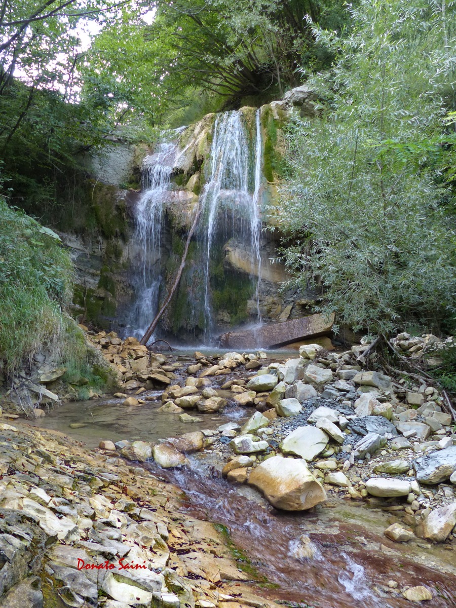 Monitoraggi ambientali al Parco Sasso Simone e Simoncello: confronto a Carpegna - Le cascatelle del Conca - Ph Donato Saini