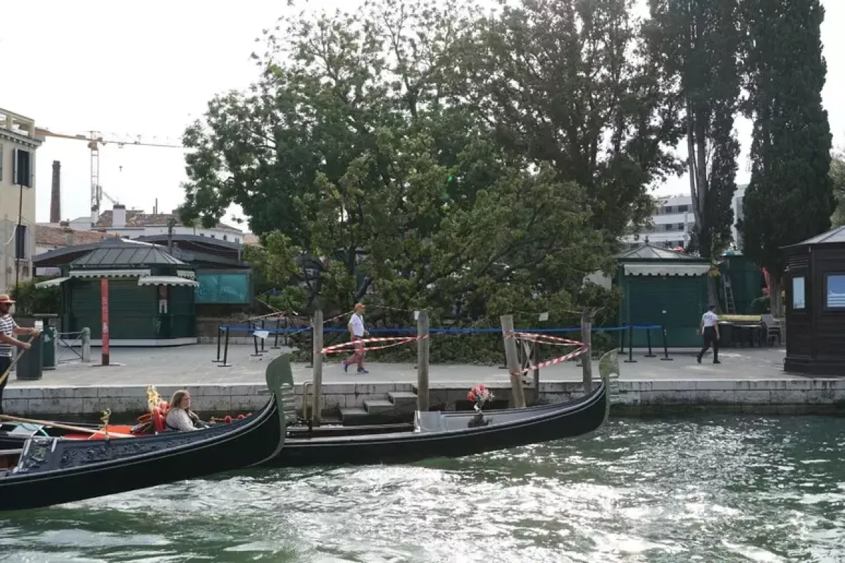 Venezia, albero cade tra i turisti: medico umbro salva donna in gravi condizioni - © Ansa
