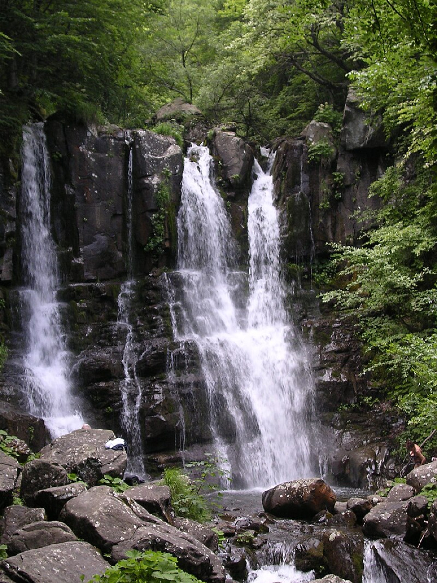 Un paesaggio che ti lascia senza parole | Le cascate del Dardagna e il segreto meglio custodito in provincia di Bologna - Foto: Biopresto/Wikipedia