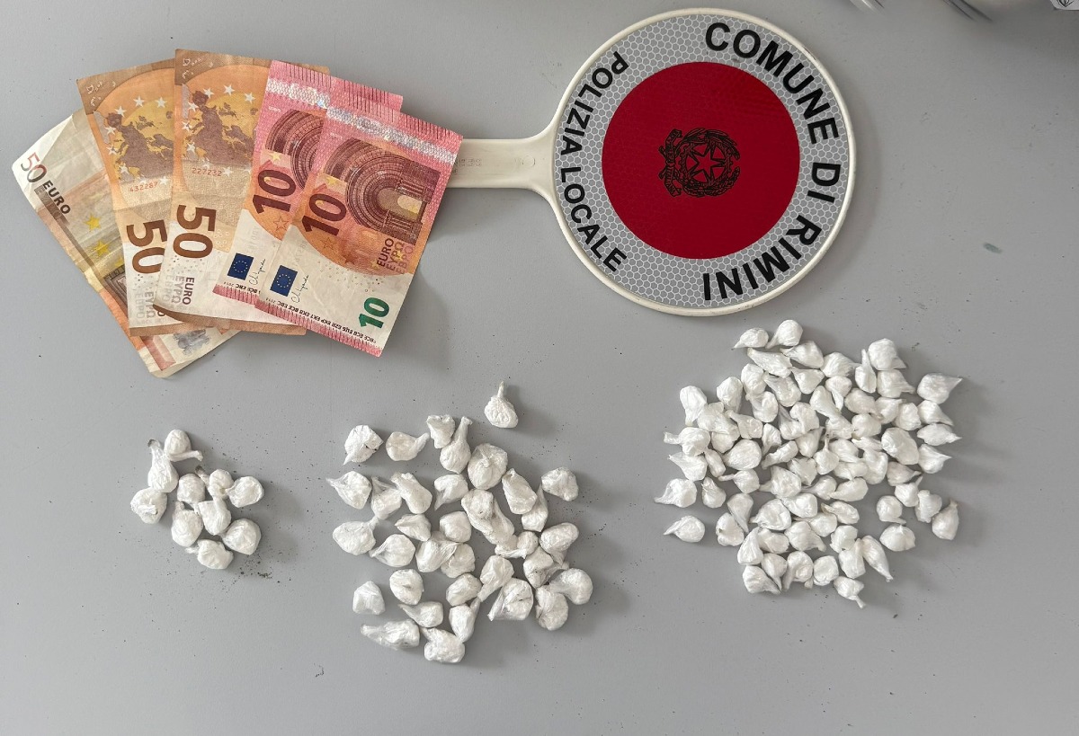 Oltre cento dosi di cocaina nascoste in cortile tra i sassi e il verde: arrestato a Viserba - La droga sequestrata