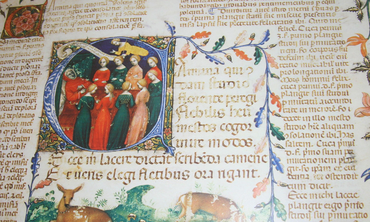 A Cesena c'è una biblioteca che nasconde una storia incredibile | Ecco qual è e la sua incredibile storia - Foto: Marilenabiondi/Wikipedia