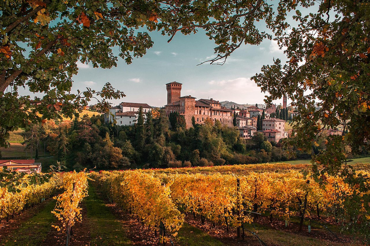 Un tesoro romagnolo nascosto che sta attirando sempre più visitatori | Il borgo che incanta con le sue torri e il Lambrusco - Foto: Angelo nastri nacchio/Wikipedia