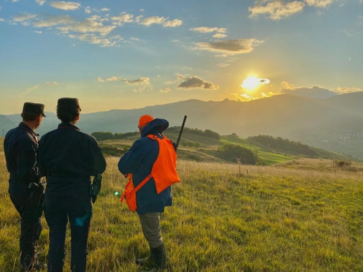 Trappole e munizioni illegali: uomo denunciato per bracconaggio - 