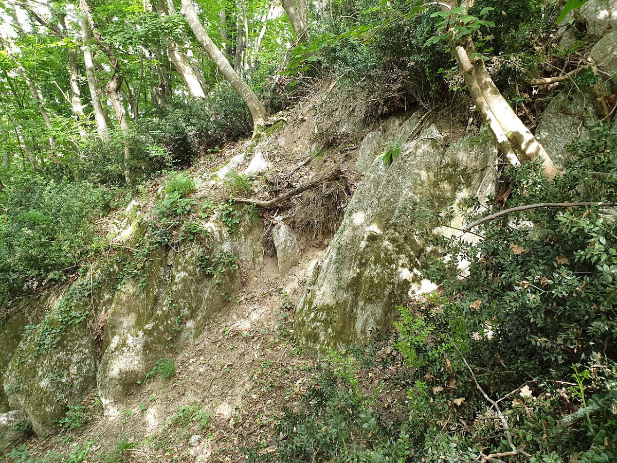 Un mondo sotterraneo che ti lascerà senza fiato | Le Grotte di Onferno e la vita che pulsa tra le gallerie - Foto: Rita Ostrovskyj/Wikipedia