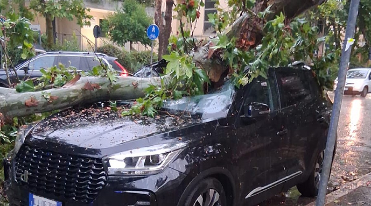 Temporale su Rimini: albero cade su un’auto in Via Tripoli -