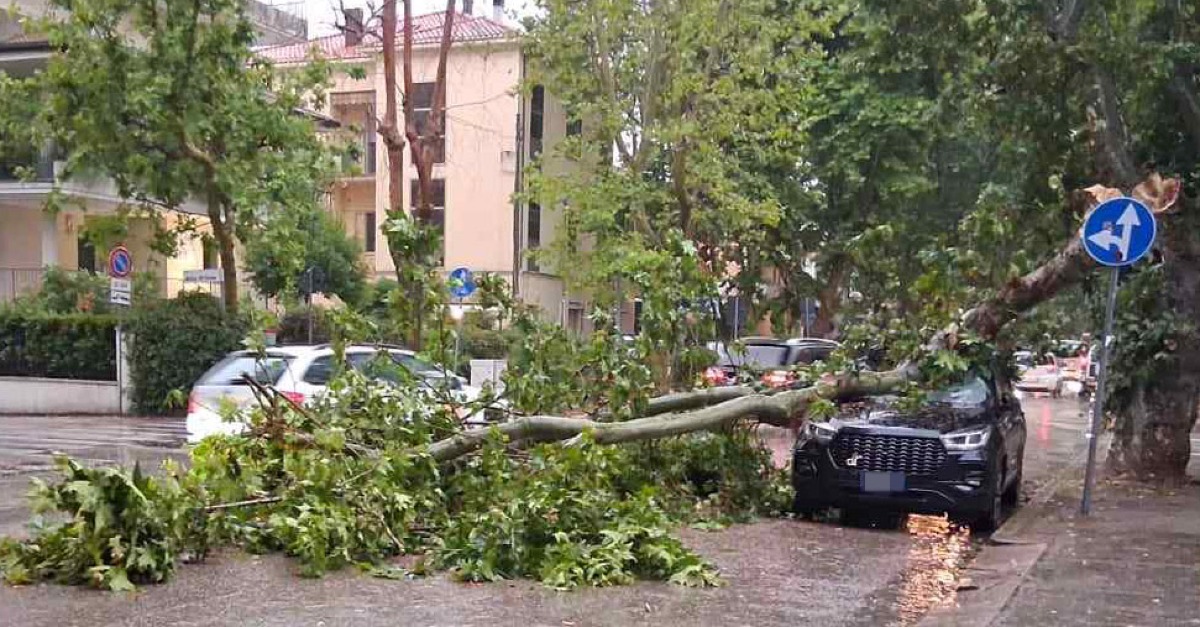 Rimini nella morsa del maltempo, tra alberi caduti e danni alle linee telefoniche - Albero caduto in via Tripoli