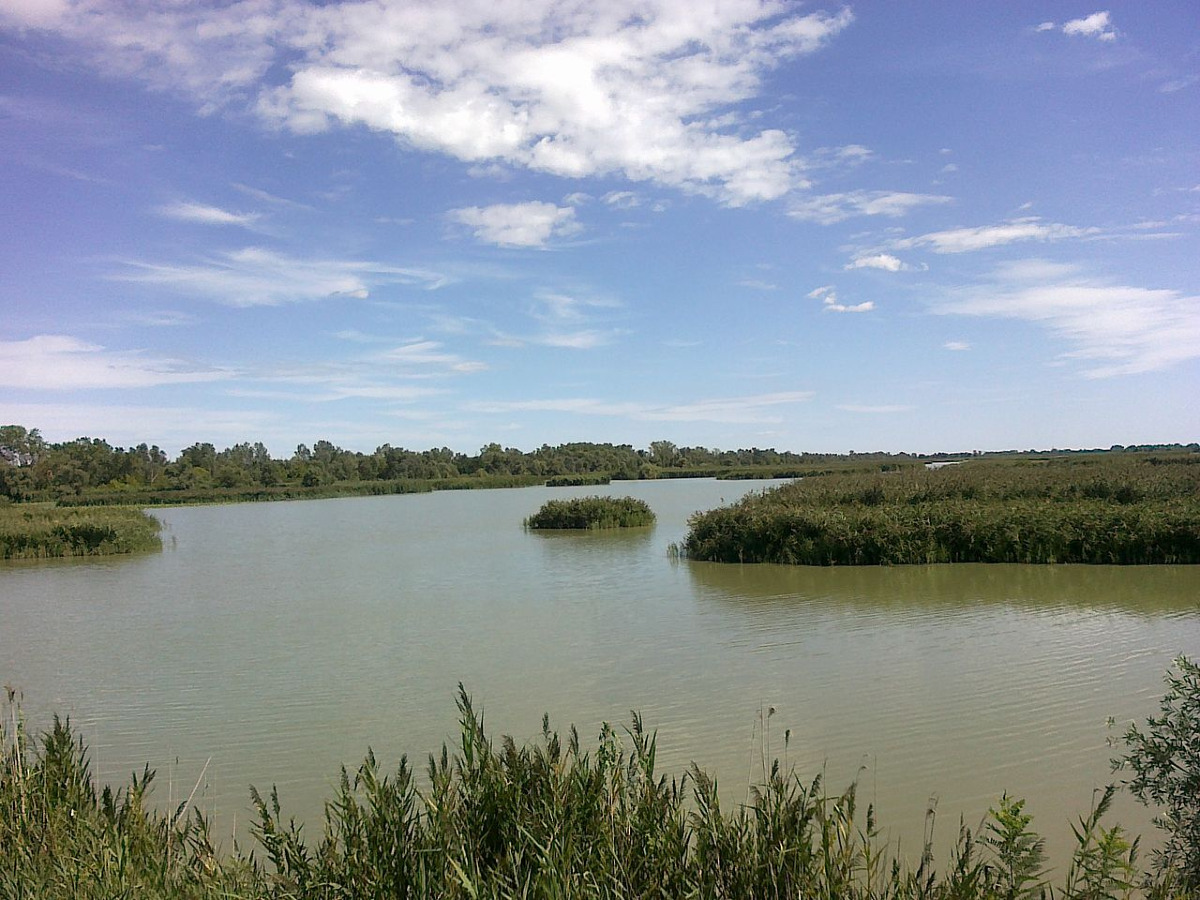 A Ferrara c'è un luogo poco conosciuto immerso nel verde | Ecco l'oasi dove la natura si intreccia con il passato - Foto: Lorenz91/Wikipedia